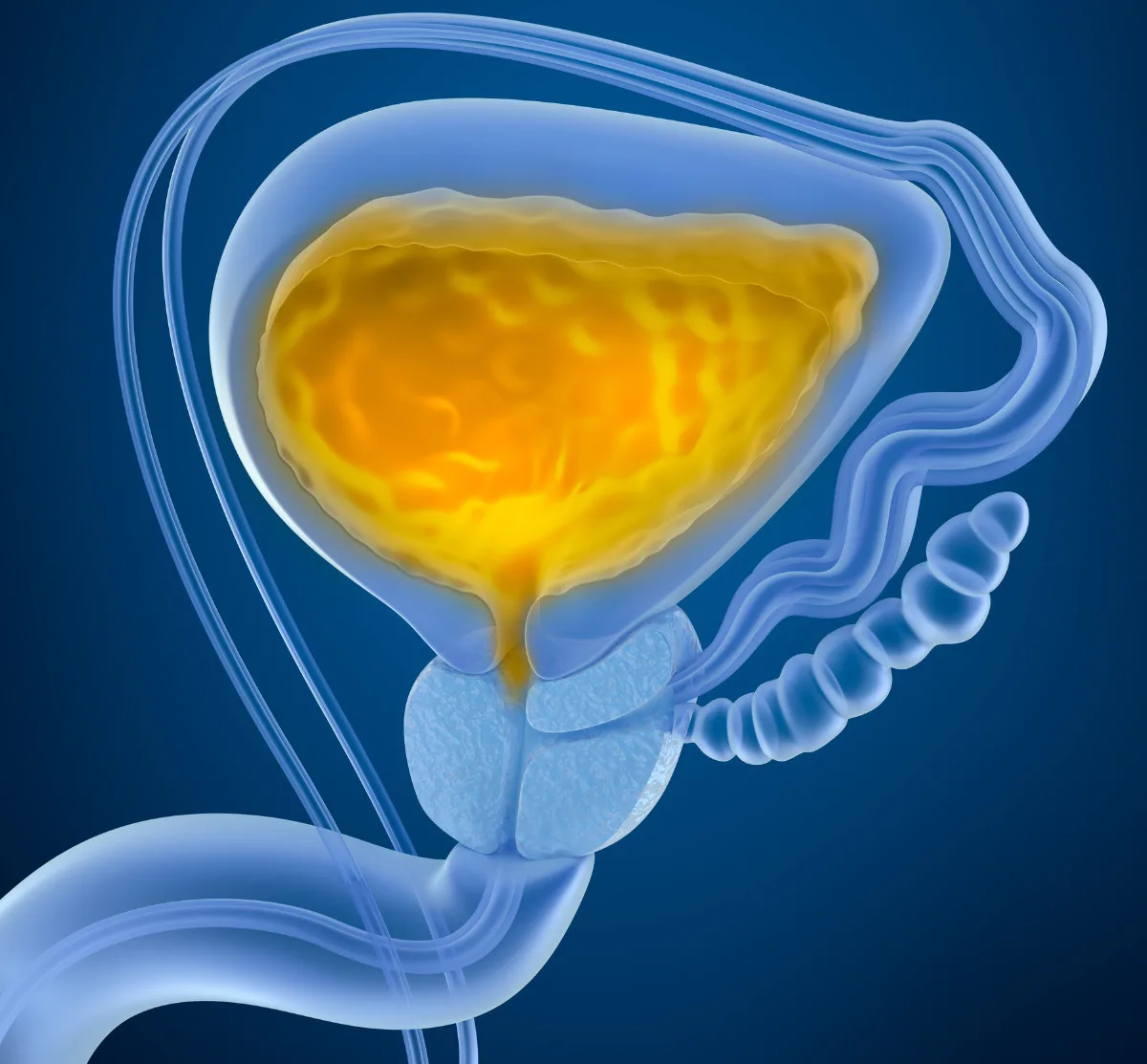 FAQs: Understanding Urodynamics & Why You May Need This Test